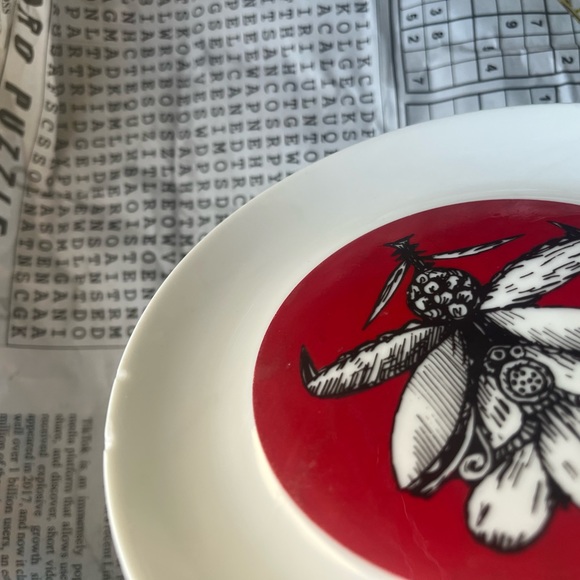 Bidasoa Espana 6” Plate 🌵Made in Spain - Picture 6 of 6